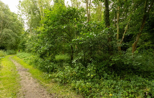 Photos: John Tym/Tympix