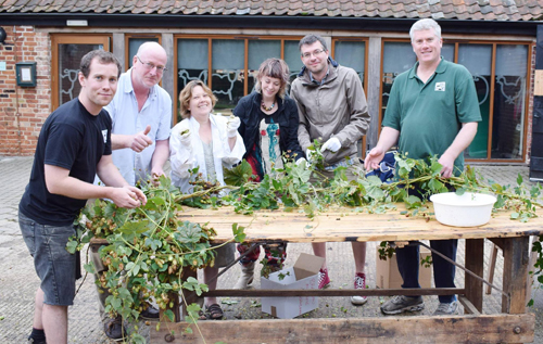 Many hands make light work at the first Norfolk Hop Festival