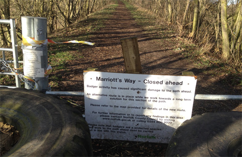 Badger gate on the closed section of Marriott's Way, just north of Whitwell Station. Photo: Michael Pender-Cudlip