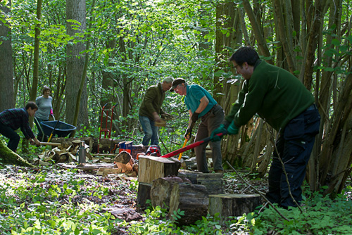 A first meeting of the Norfolk Wood Warm CIC will be held at 10.30 am on Saturday 25 May 2013 at Whitwell Station cafe, Reepham
