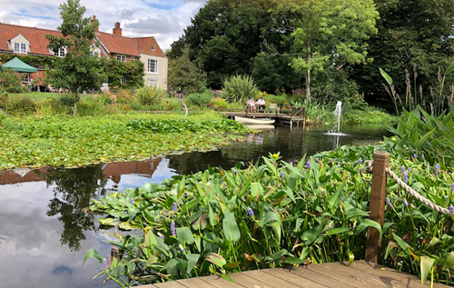 Photos: Reepham and District Gardening Club