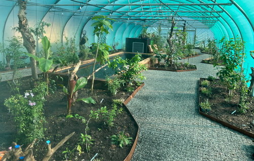 Photos: The Bug Parc