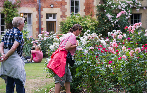 Enjoy an idyllic summer's day out exploring the 11 gardens open for Swannington in Bloom. Photo: Sheila Foster-Hancock