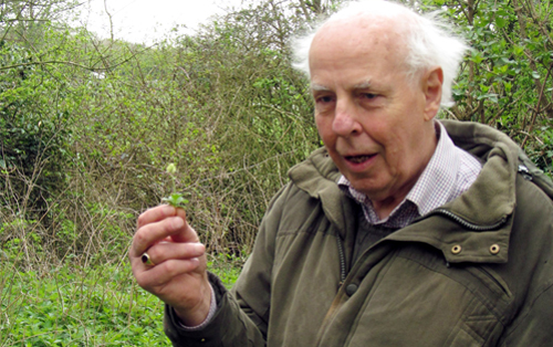 Tony Foottit, who has retired as chairman of the Trustees of Whitwell Common. Photo: World Tree
