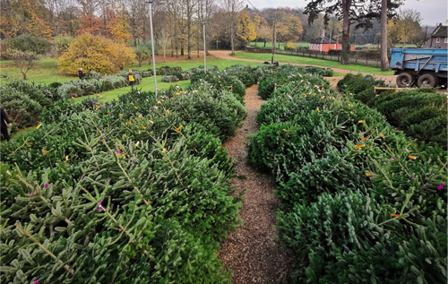 Photos: Salle Park Estate