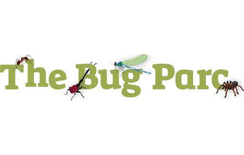 Images: The Bug Parc