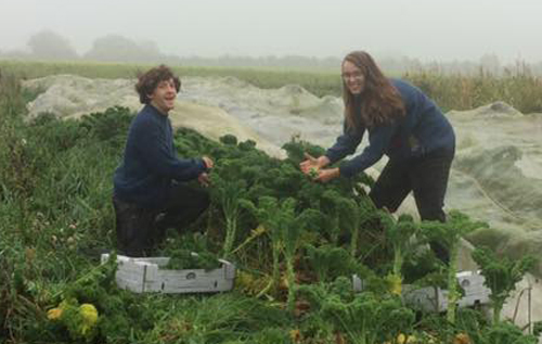 Ric Hollingbury (left) and Izzy Filby, two of the first trainees at Eves Hill Veg Co in 2017