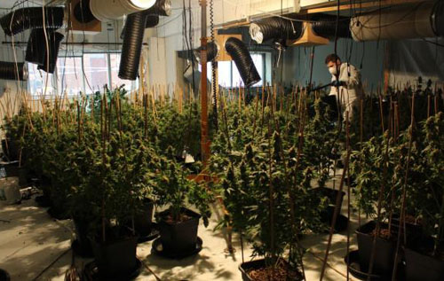 Photo: Norfolk Constabulary