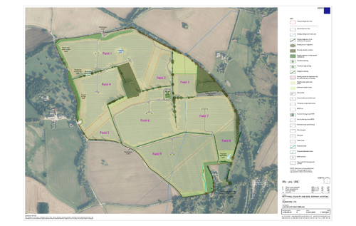 Image: Indigo Landscape Architects