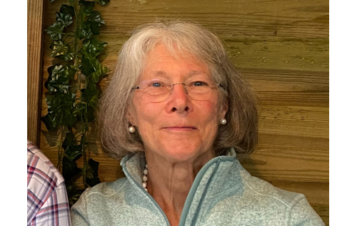 Ann Middlemas has stepped down as the Reepham Archive volunteer administrator. Photo: submitted