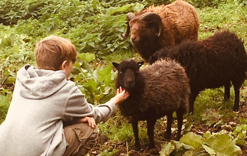 Field of Joy works with work with adults and children, improving wellbeing and reducing isolation. Photo: Field of Joy